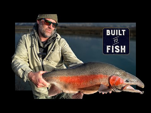 Fishing for HUGE  Rainbow Trout in New Zealand!