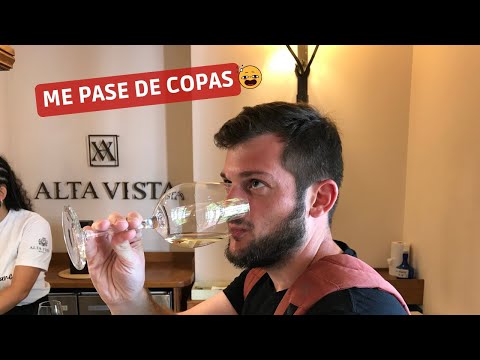 MEJORES BODEGAS de Mendoza | Les dejo una GUIA COMPLETA de bodegas + visita al CERRO DE LA GLORIA!🍷