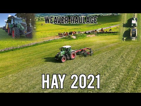 Hay 2021 ~ Rowing and Baling ~ Weaver haulage ~ 4k