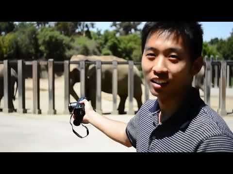 Me at the Zoo – The First YouTube Video and What Creators Can Learn