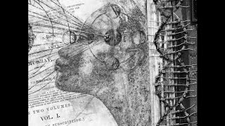 Machines Of Loving Grace - Limiter (1993)