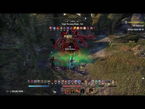 ESO 87.3k Stamcro Stamina Necromancer Parse - DL