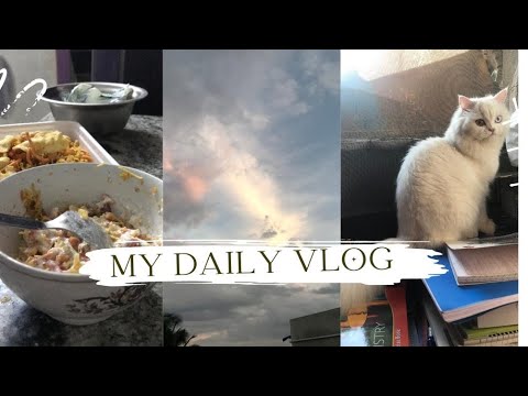 Daily routine with my cat 😺 (saiqakitchen&vlog)