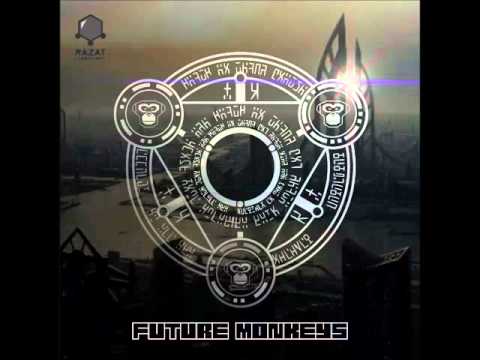 Future Monkeys- Night Visions ( Original Mix) 155 BPM