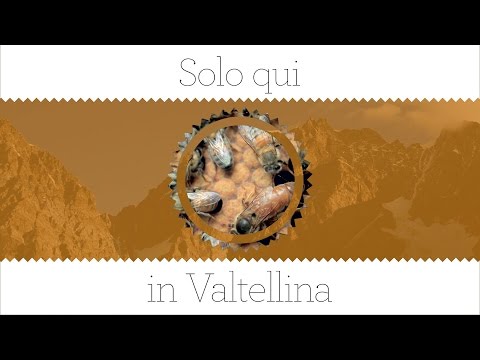 I modi per ridurre la potenza Attività per aumentare la potenza