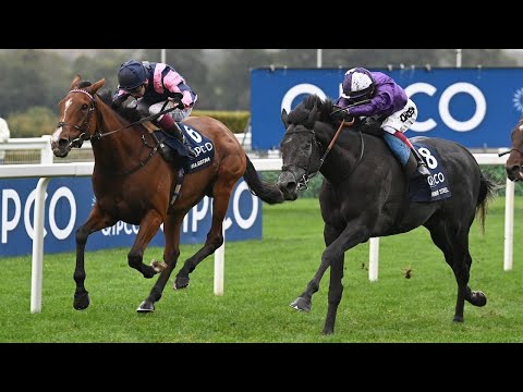 Dettori in dreamland as he bows out with Champion Stakes glory on King Of Steel