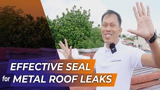 [S4.Ep.3] WHAT IS The best sealant for metal roof? Pol Castillo