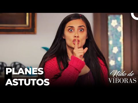 Elvan No Para - Nido De Víboras