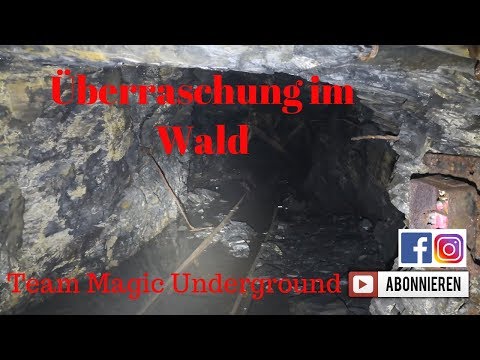 Überraschung im Wald Teil 2