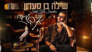 אי בודד