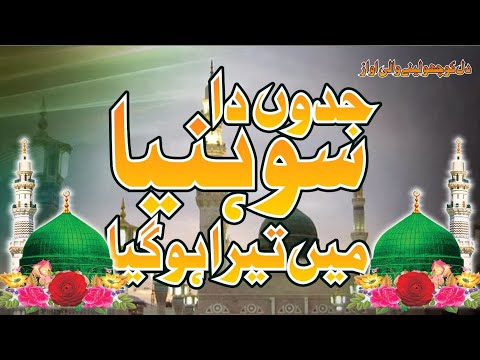 Shoniya May Tera Ho Giya - Official Video 2024 - Punjabi Kalam