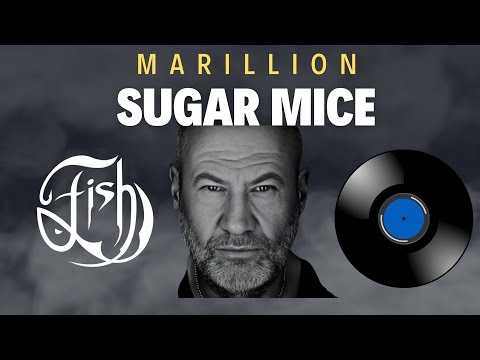 Sugar Mice - Marillion (an interpretation)