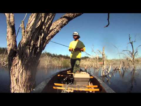 Bass fishing in Mexico