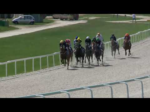 2018.06.17. 2. futam - NYERETLENEK VERSENYE (V.kat.) (szintetikus pálya)