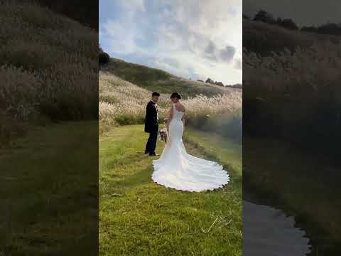 家の拡大 – バリエーション、避けるべき落とし穴、そして奨励する写真  庭園