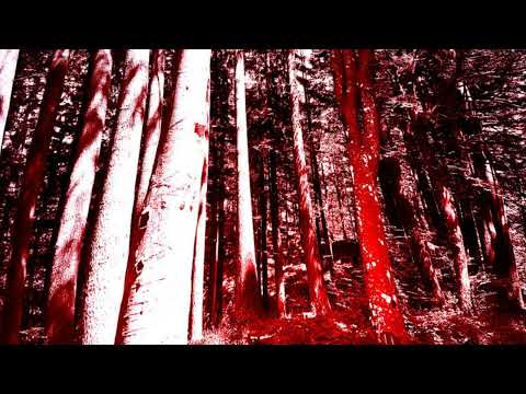 Ruttna - Cry Of Raven