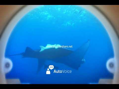 Orthopaedic & Hand MRI (OHM) Novena Pte Ltd