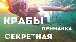 На что ловить краба черноморского лосося