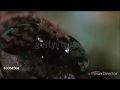 Sid The Science Kid S Reaction Of Wormy