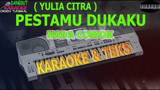 Download lagu karaoke dangdut PESTAMU DUKAKU YULIA CITRA NADA COWOK kybord KN2400/2600 mp3