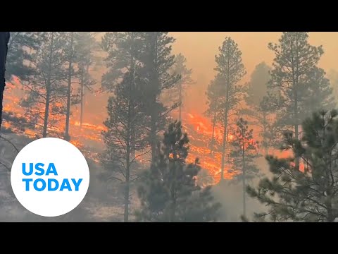 Deadly wildfires are being fed by wind, dry conditions in New Mexico USA TODAY