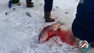 Рыбалка прио лагуна форум последняя