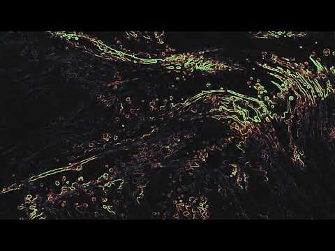 UNREALNUMBERS - Street Wolves [UN007]