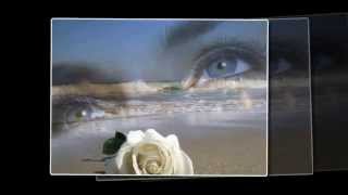 Pooh    Stella del sud