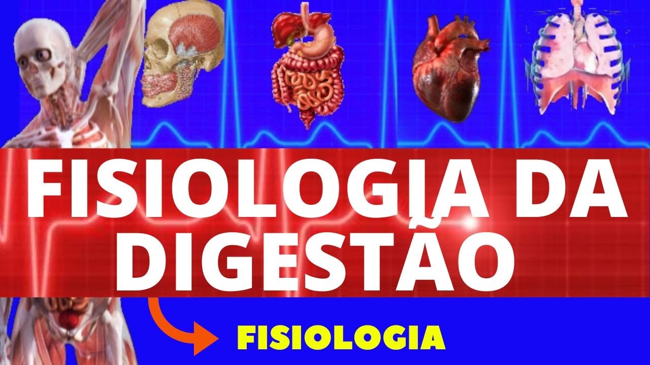 FISIOLOGIA DA DIGESTÃO (FISIOLOGIA DE GUYTON) - SISTEMA DIGESTÓRIO - FISIOLOGIA HUMANA