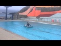Duct tape boat takes to Portishead open air pool ...