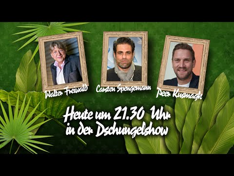 Die große BILD-Dschungelshow im Live-Stream - 29.01.2016
