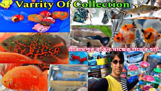  শ্রীরামপুর রঙিন মাছের শখের হাট | Serampore Aquarium Fish Pet Market | Pet Market Shrirampur | Fish 