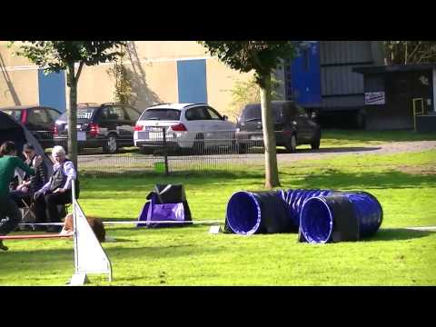 00065 Fun Turnier Bochum Hordel 03.10.2014 Rabea mit Luke