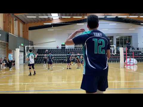 SVL D2: SNV vs So9ging