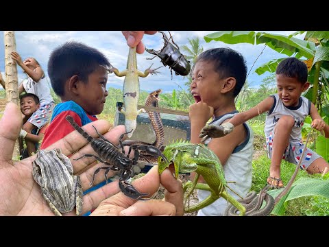 Mister insect was pranked by the kids‼️catch snake, lizard, scorpion, chameleon, stag beetle