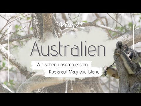 Weltreise Vlog 21 - Wir sehen unseren ersten Koala auf Magnetic Island! (Townsville, Australien)
