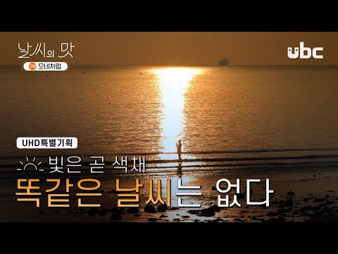 [UHD] 특별기획 날씨의 맛 2부 _ 모네처럼