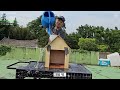 Clip 3