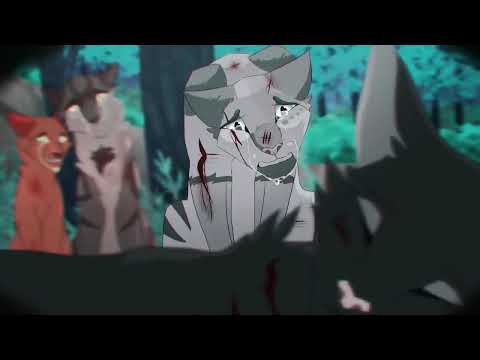 |warriors cats edit - clarity|