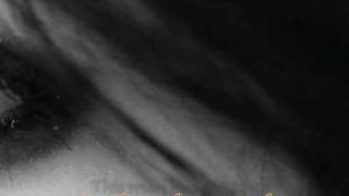 Lady Wants to Know - Michael Franks