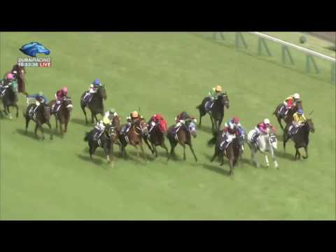 2017.05.14 Victoria Mile (JPN) - Admire Lead