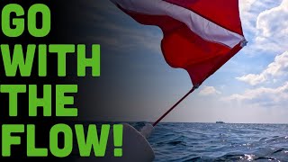 Catch My Drift! 5 Tips For Safe, Happy Drift Dives