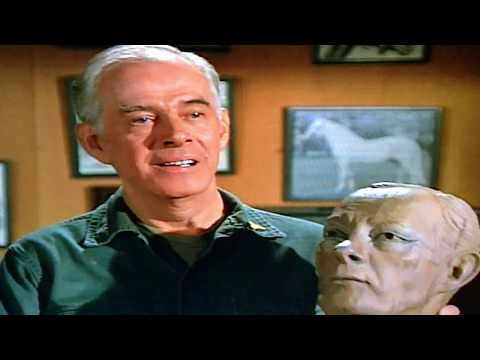 Mash- The Colonel's Horse