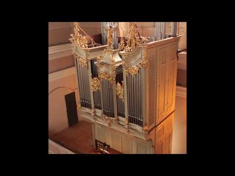 Restoration of the pipe-organ at the Assumption Church in Zolochiv, Ukraine. (Part 4)