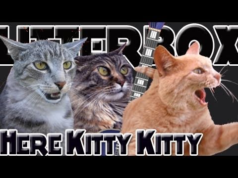 here kitty kitty by litterbox - the cat band