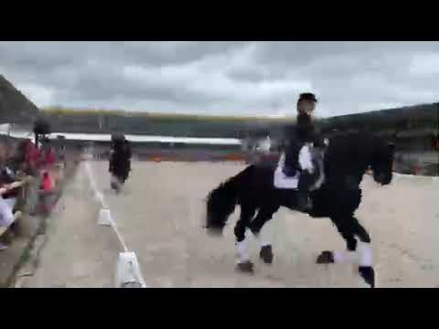 Friezentrein Horse Event 2019