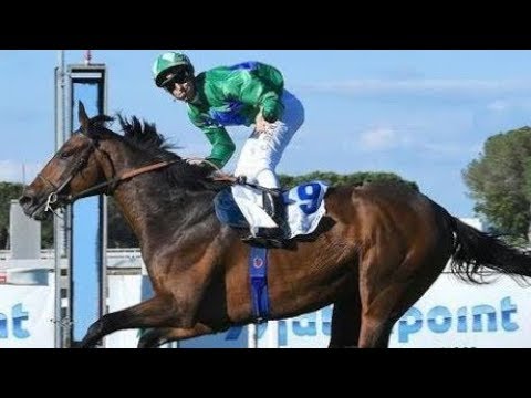 2017 Premio Derby Italiano G2 - Mac Mahon - C.Demuro (第五名馬Patriot Hero來港後命名-福將)