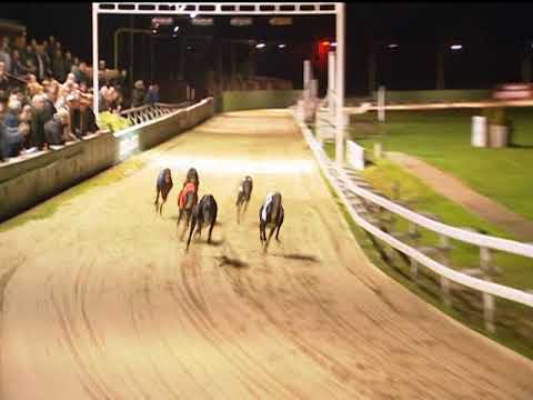 2017 SIS DONCASTER YOURKSHIRE ST LEGER FINAL - T4 KEPLAR NINE