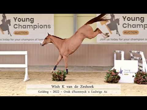 Free jumping