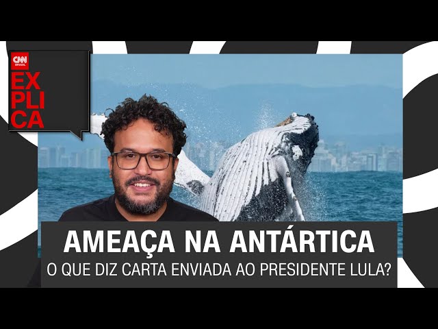 Lula recebe carta pedindo fim da pesca que ameaça baleias na Antártica | CNN Explica